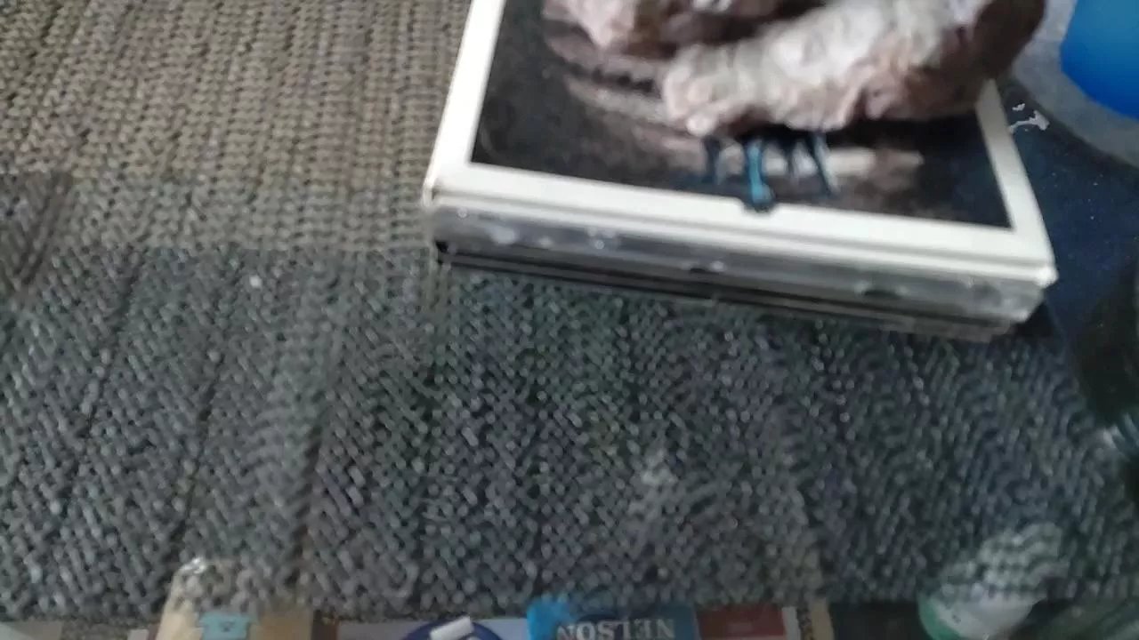 Offline 19PussyDeluxe83 on Cam4