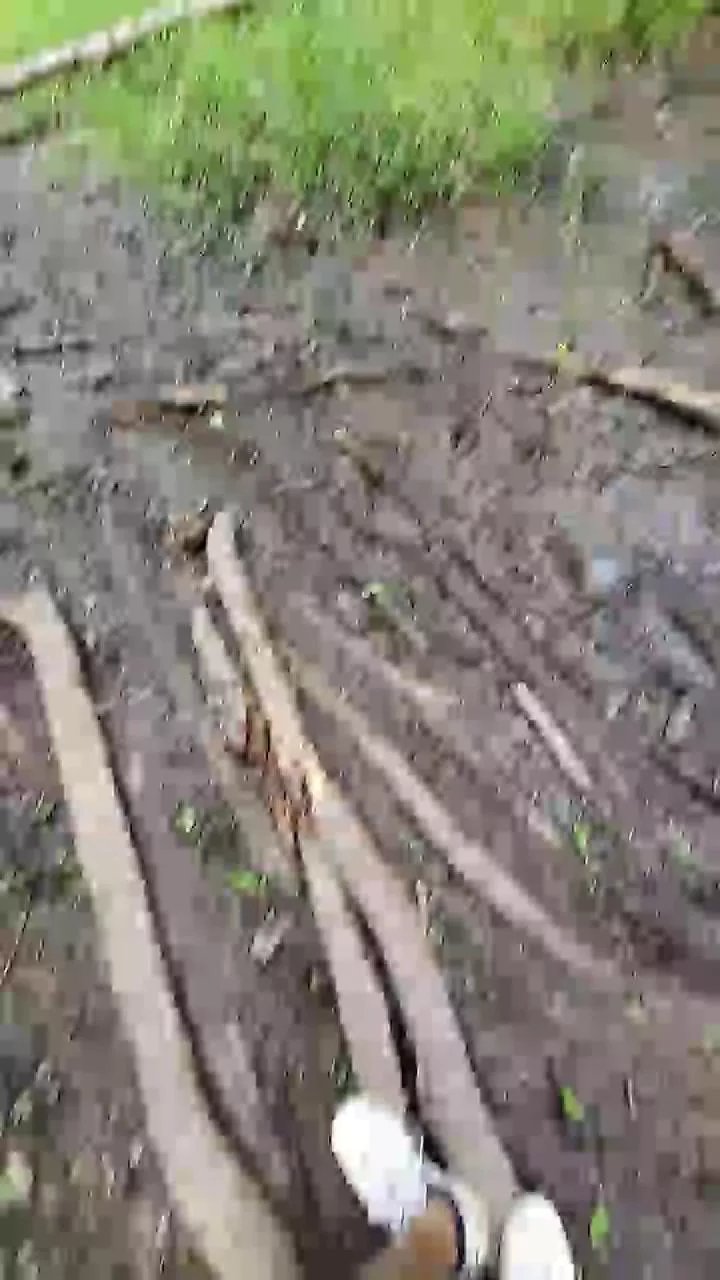 Offline bulgingarmy on Cam4